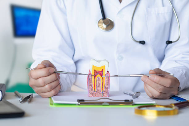 Best Emergency Dental Extractions in West Branch, MI